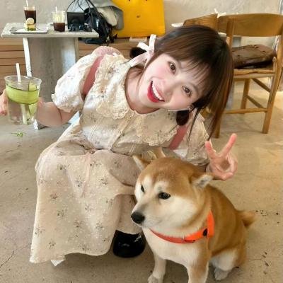 明星间谍